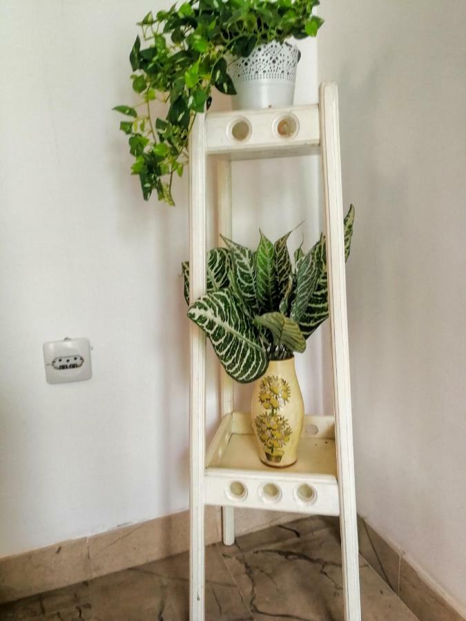Apartman Damir Sumartin Exteriör bild